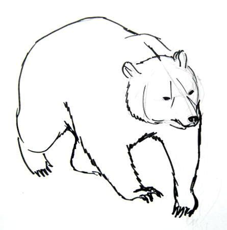 Learn How To Draw A Brown Bear Drawings Bear Sketch Bear Paintings