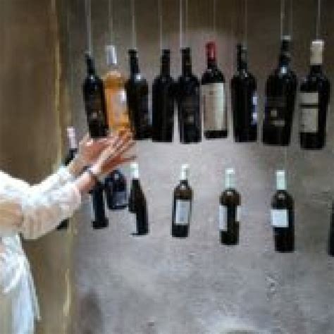 Personalized Wine Tastings in Puglia 🍷 Customized Tours 2025 ...