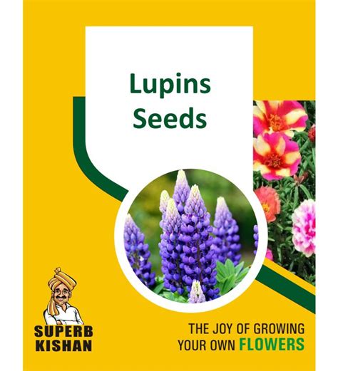 Lupin Flower seeds - SuperbKishan