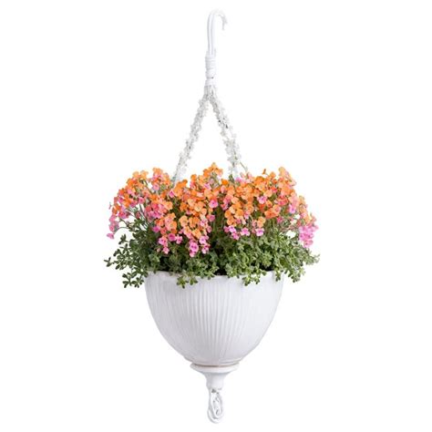 Diascia Dainty Pink And Orange Flowers On Delicate Stems In A White