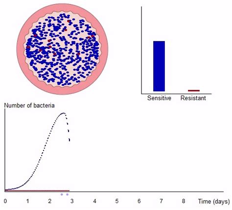 Understanding Antibiotic Resistance Openlearn Open University