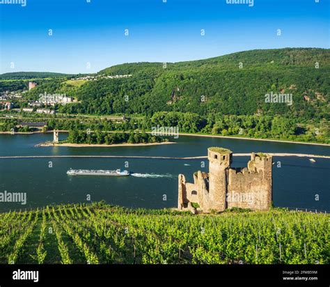 Germany Hesse Rheingau Rüdesheim Assmannshausen Ehrenfels castle