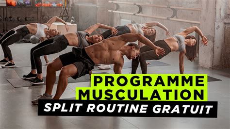 Programme Musculation Jours Par Semaine En Split Fitzone