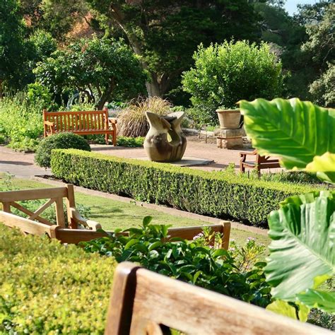 Things To See And Do At The Royal Botanic Gardens Sydney — Incidentally