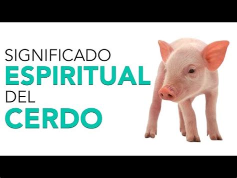 Interpretaci N Psicol Gica De La Imagen De Un Cerdo Significado Y