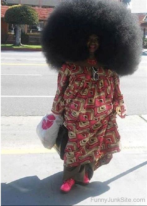 Funny Afro Pictures » Afro Hairstyle Funny People