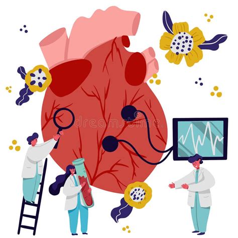 Corazón Humano Concepto De Cardiología Médicos Diagnóstico