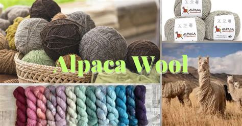 What Is Alpaca Wool Called How You Benefit From Alpaca Wool Textile Details