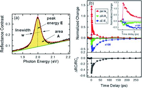 Band Profiles Of P N Junctions In Bulk And Atomically Thin Materials