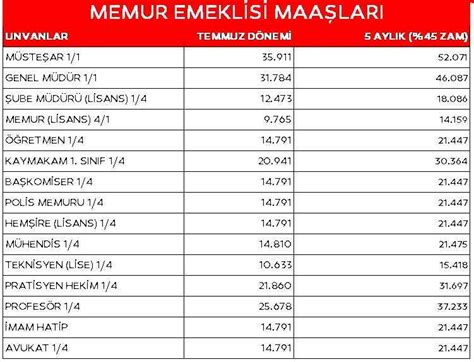 Emekli Maaşı 2024 Hesaplama Karen Marlane