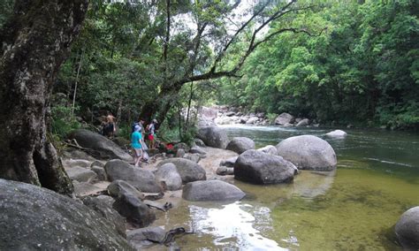 Port Douglas Mossman Gorge And Dreamtime Walk Tour With Lunch