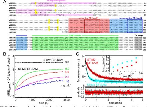 Stromal Interaction Molecules Semantic Scholar