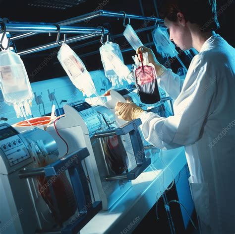 Blood Processing Stock Image M Science Photo Library