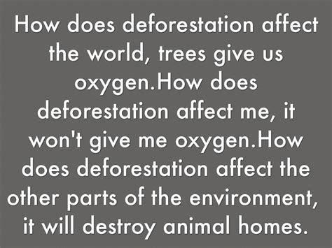 😊 Do trees give us oxygen. How Do Trees Produce Oxygen?. 2019-02-13