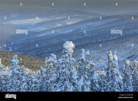 Fairbanks alaska hi-res stock photography and images - Alamy