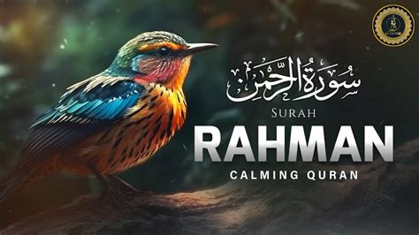 Morning Tilawat 💐 Surah Rahman Heart Touching Recitation Best Surah In Quran 🌲surah Rahman Full