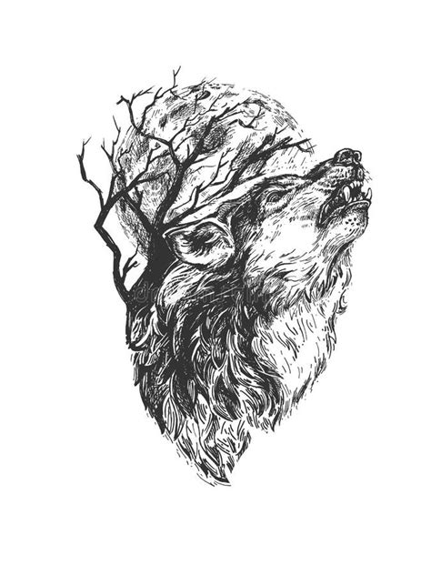 Howling Wolf Sketch Stock Illustrations Howling Wolf Sketch