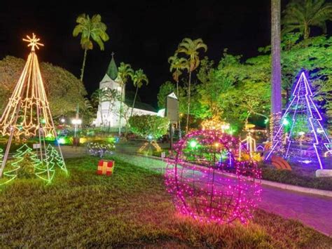 Brilho De Natal Acende Oficialmente As Suas Luzes Nesta Quinta Feira