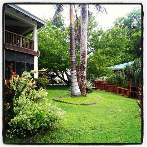 BLACK ORCHID RESORT $114 ($̶1̶3̶0̶) - Updated 2024 Prices & Hotel ...