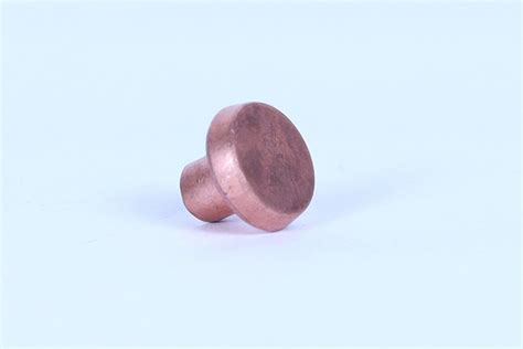 Copper Contact Rivet तब क कटकट रवट कपर कटकट रवट