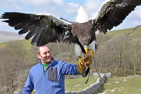 Filestellers Sea Eagle With Man Wikipedia