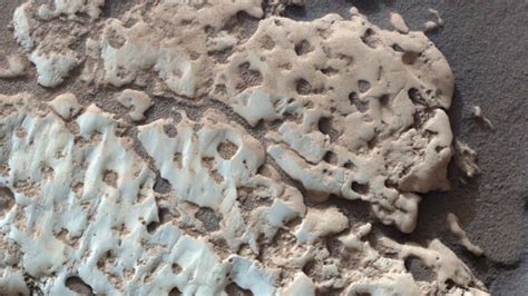 10 Mind-Blowing Discoveries from the Tori Pages Photo Leak Investigation - du14pzb