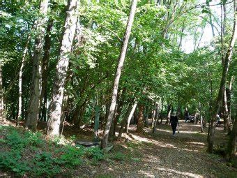 Busa Delle Rane E Valle Delle Tre Fonti Sul Montello