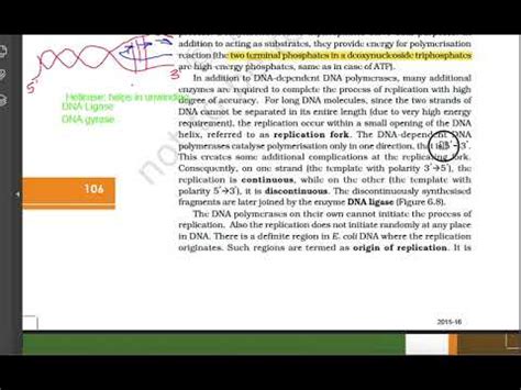 M B I Part Quick Ncert Revision Of Dna Replication Replication Fork