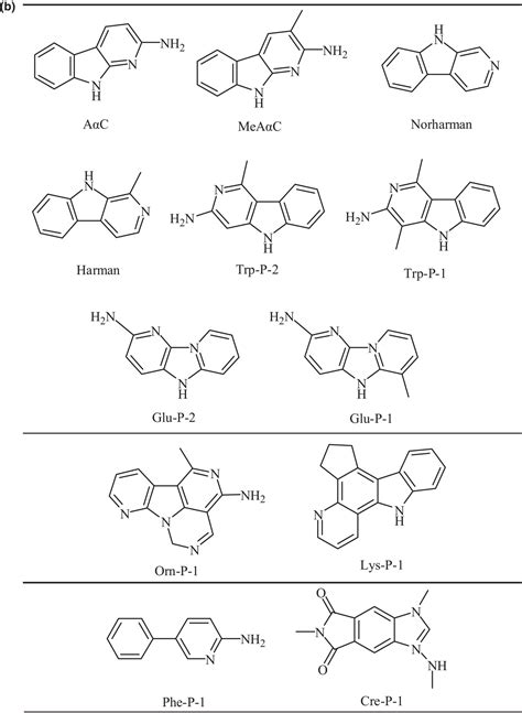 Potential Carcinogenic Heterocyclic Aromatic Amines Haas In