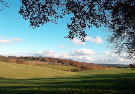 Pishill Bottom and Greenfield Wood © Des Blenkinsopp cc-by-sa/2.0