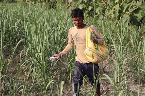 Pm Modi Launches One Nation One Fertilizer Scheme