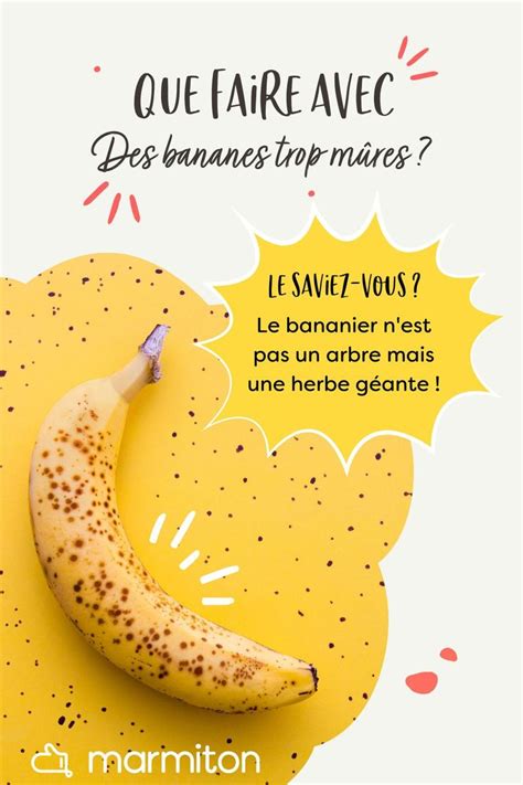 10 recettes à faire avec des bananes trop mûres Recette Bananes