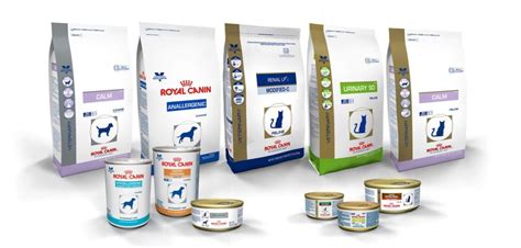Корм Royal Canin (Роял Канин) для кошек: сухой, влажный, состав, линейка