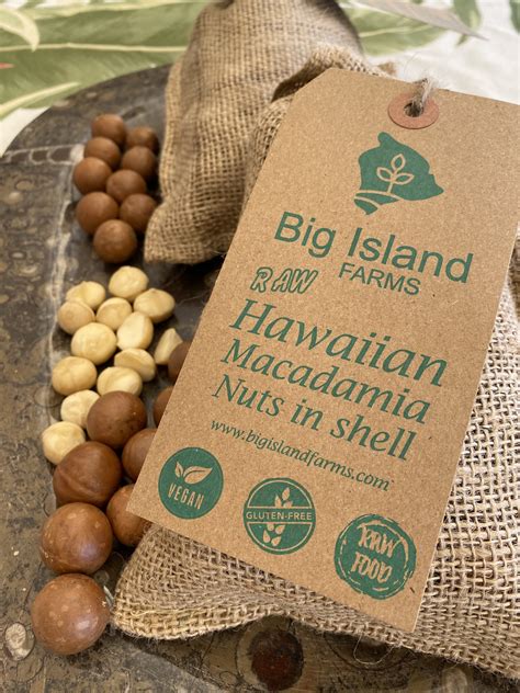 Fresh Macadamia Nuts, Raw In The Shell - Big Island Farms