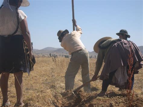 La Reforma Agraria En Bolivia