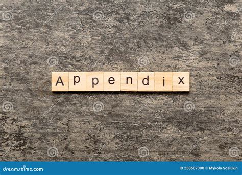 Appendix Word Made With Wooden Blocks Concept Stock Photography