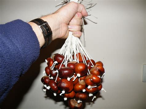 How To Play Conkers 7 Steps With Pictures Instructables