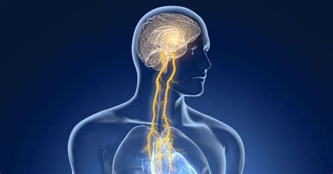 What Is Vagus Nerve Stimulation?