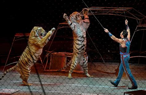 The 'Greatest Show on Earth' Is Coming Back—Without Circus Animals ...