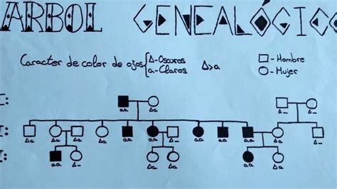 Details 48 árboles Genealógicos Genética 4 Eso Abzlocalmx