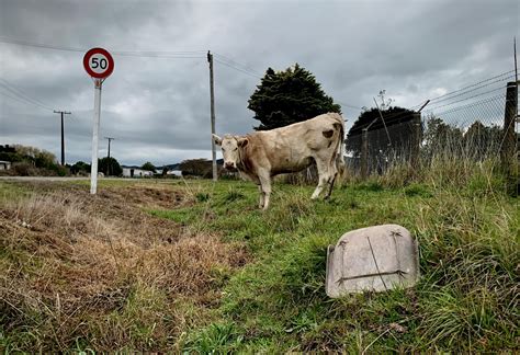Blog | pagespics | Travel, Portrait and Street Photographer