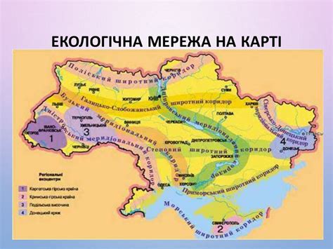 Природно-заповідний фонд України. Національна екологічна мережа ...