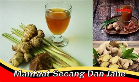 Temukan Manfaat Rahasia Secang Dan Jahe Yang Jarang Diketahui Biotifor