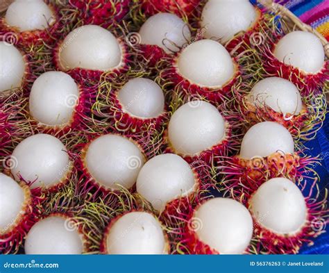 Peeled Rambutan Tropical Fruit Festival Stock Image Image Of Juicy