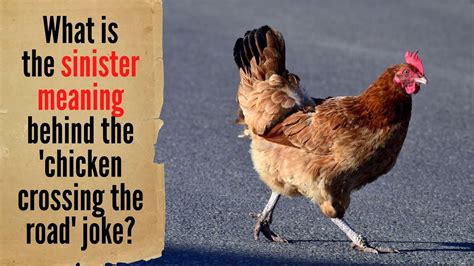 Why Did The Chicken Cross The Road Joke Explained Youtube