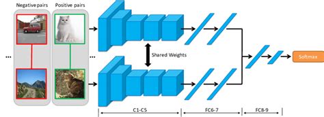 The Proposed Siamese Network For Binary Classification C Fc Layers