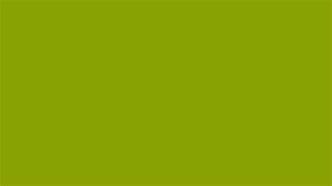 Vomit Green color - #89A203 - The Official Register of Color Names