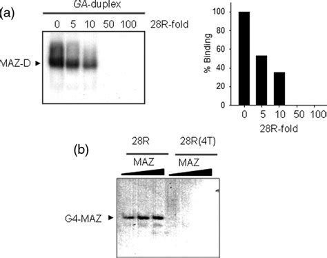 Emsa Competition Experiments And Binding Of Maz To G4 Dna A A