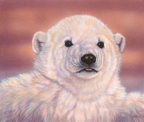 Baby Polar Bear Drawing