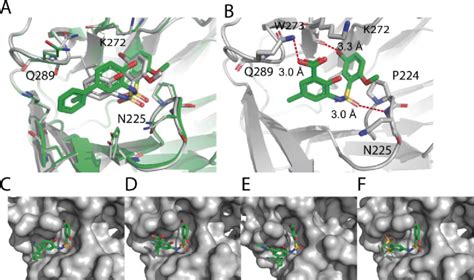 Figure From Discovery And Optimization Of Salicylic Acid Derived